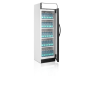 Шафа холодильна Tefcold CEV425CP 2 LED
