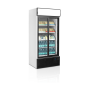 Шафа холодильна Tefcold FSC890S