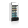 Шафа холодильна Tefcold FSC890S