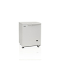 Скриня морозильна Tefcold SE10-45