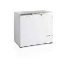 Скриня морозильна Tefcold FR305S SL