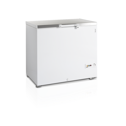 Скриня морозильна Tefcold FR305S SL