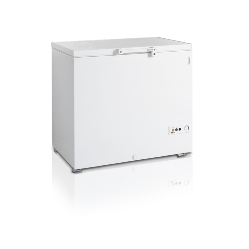Скриня морозильна Tefcold FR305 SL