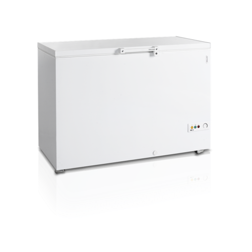 Скриня морозильна Tefcold FR405 SL