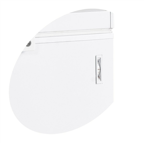 Скриня морозильна Tefcold FR405 SL