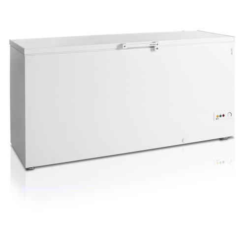 Скриня морозильна Tefcold FR605 SL