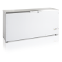 Скриня морозильна Tefcold FR605S SL