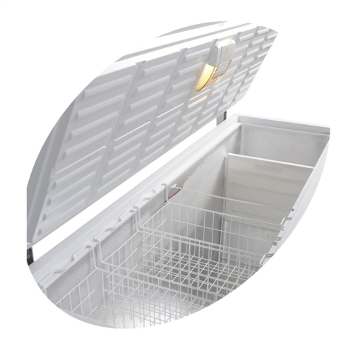 Скриня морозильна Tefcold FR605S SL